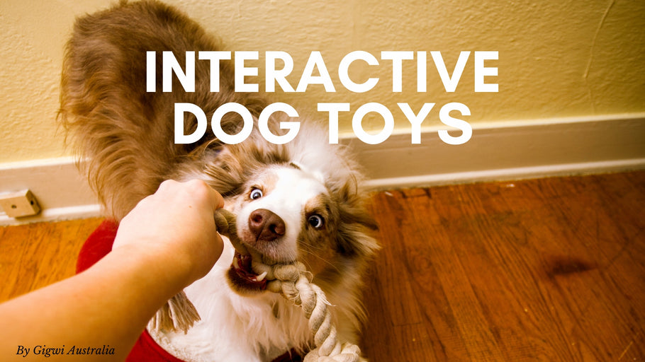 INTERACTIVE DOG TOYS