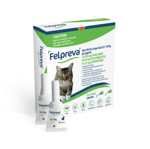 FELPREVA LARGE CATS 5-8KG SPOTON 2PK