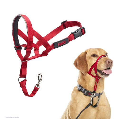 Halti Headcollar Red Size 3
