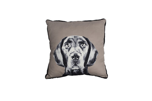MOG AND BONE CUSHION LABRADOR