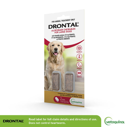 Drontal® Allwormer Chewable, Large Dogs, 2 Chews