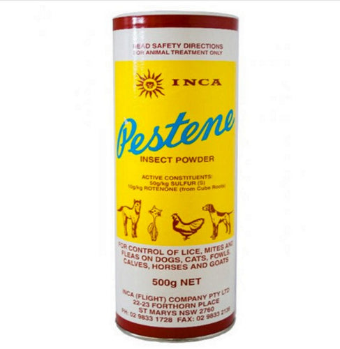 INCA PESTENE INSECT POWDER 500G