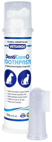 Denticare Toothpaste 100G
