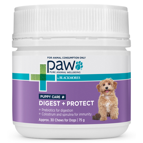 PAW Digest Protect Puppy Care 75g