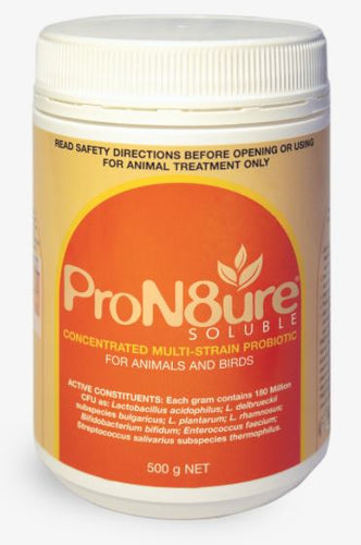 INTERNATIONAL ANIMAL HEALTH PRON8URE SOLUBLE POWDER 500G ORANGE (PROTEXIN)