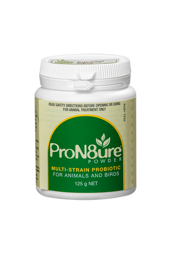 INTERNATIONAL ANIMAL HEALTH PRON8URE POWDER 125G (PROTEXIN)