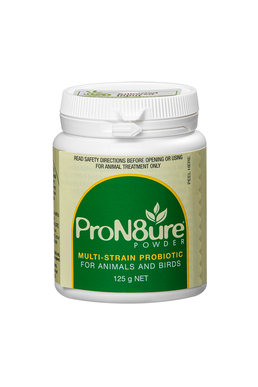 INTERNATIONAL ANIMAL HEALTH PRON8URE POWDER 125G (PROTEXIN)