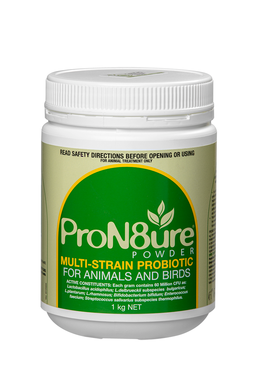 INTERNATIONAL ANIMAL HEALTH PRON8URE POWDER 1KG GREEN (PROTEXIN)