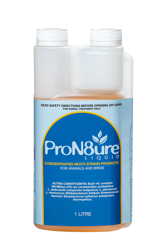 INTERNATIONAL ANIMAL HEALTH PRON8URE LIQUID 1L (PROTEXIN)