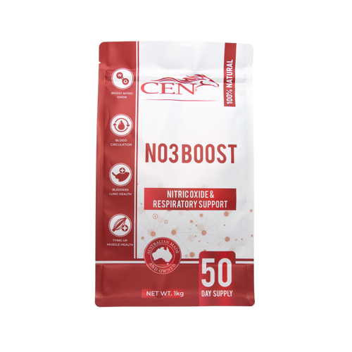 CEN NO3 BOOST 1KG